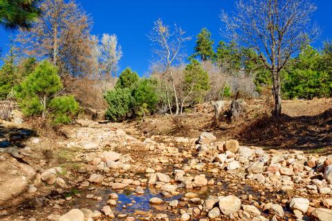1804 N Pyle Ranch Rd, Payson, AZ 85541 photo 28