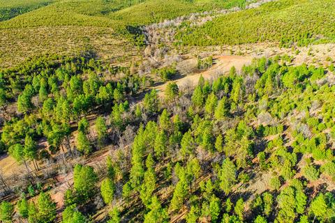 1804 N Pyle Ranch Rd, Payson, AZ 85541 photo 14