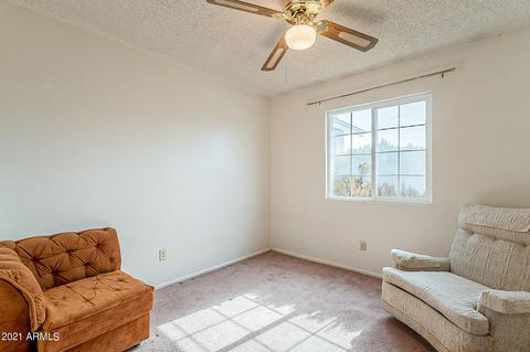 2634 E Contessa St, Mesa, AZ 85213 photo 13