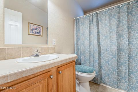 2809 W Cactus Wren St, Apache Junction, AZ 85120 photo 23