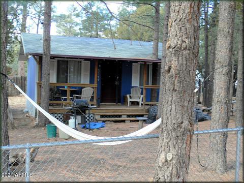 3344 Little Pine Dr, Overgaard, AZ 85933 photo 1