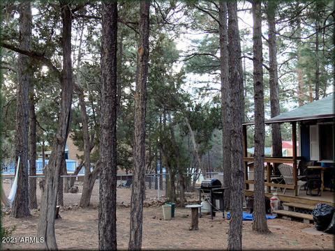 3344 Little Pine Dr, Overgaard, AZ 85933 photo 2