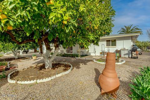 5605 E Duncan St, Mesa, AZ 85205 photo 30