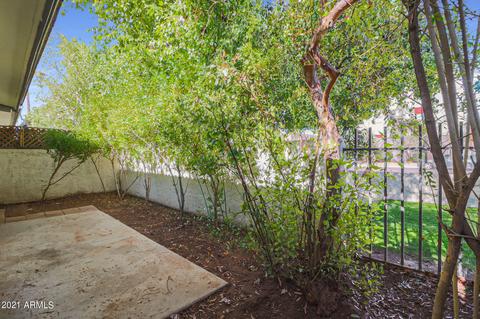 4924 Edgemont Ave, Phoenix, AZ 85008 photo 24