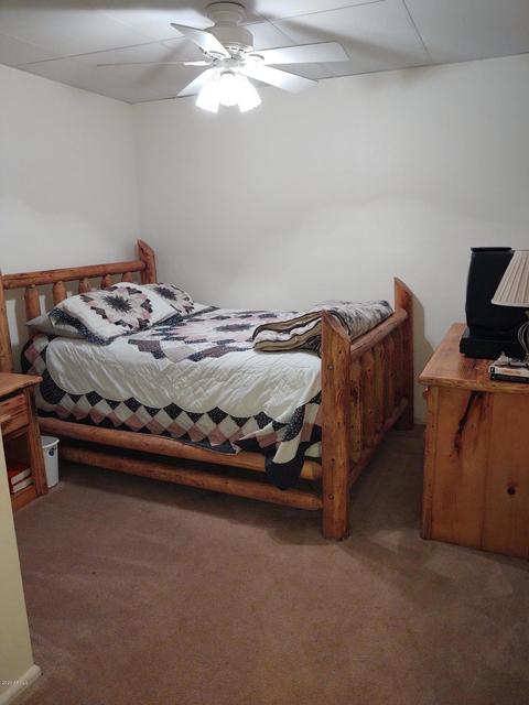 361 E Mail Trail Rd, Young, AZ 85554 photo 12