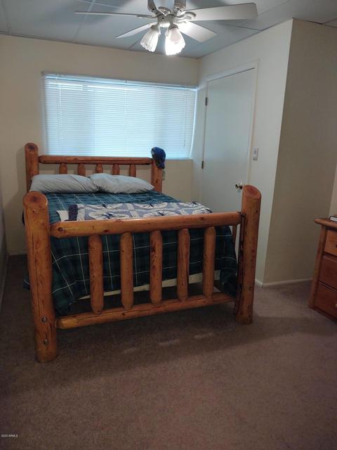 361 E Mail Trail Rd, Young, AZ 85554 photo 13