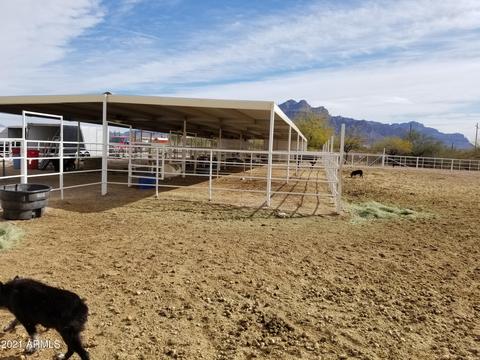 1900 E Windsong St, Apache Junction, AZ 85119 photo 9