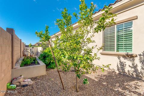 2229 E Crescent Way, Gilbert, AZ 85298 photo 97