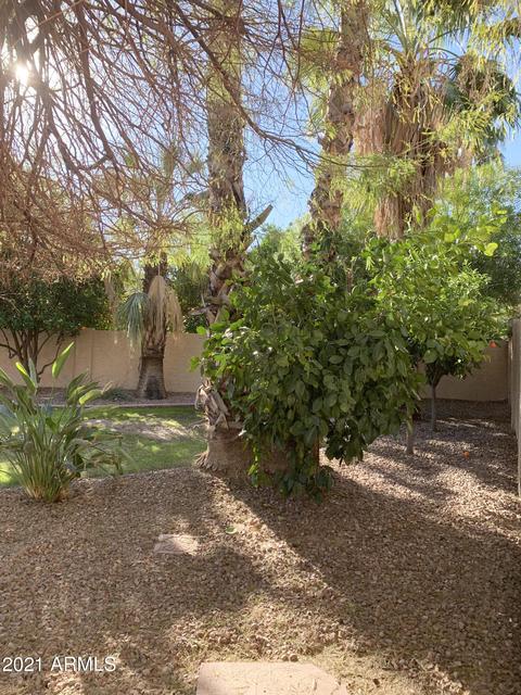 2209 E Sausalito Ct, Gilbert, AZ 85234 photo 38