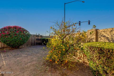 3202 E Calypso Ave, Mesa, AZ 85204 photo 31
