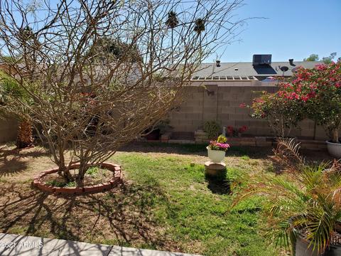 7127 E Azalea Cir, Mesa, AZ 85208 photo 41