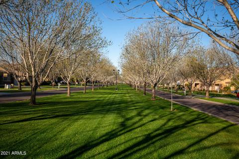 3001 E Comstock Dr, Gilbert, AZ 85296 photo 53
