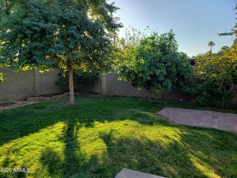 1317 E Orange St, Tempe, AZ 85281 photo 25