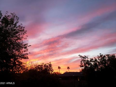 1317 E Orange St, Tempe, AZ 85281 photo 34