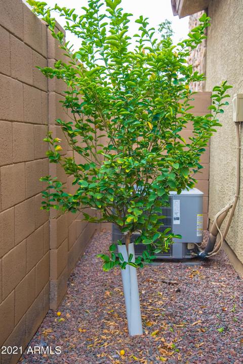 822 E Harwell Rd, Phoenix, AZ 85042 photo 51