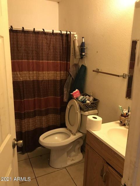 311 E Vine Cir, Mesa, AZ 85210 photo 10