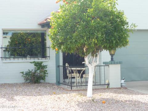 4328 E Capri Ave #180, Mesa, AZ 85206 photo 35