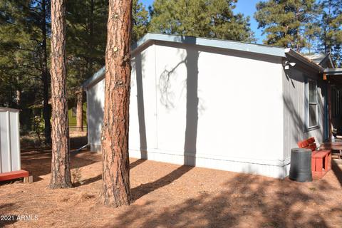 2141 S Woods Dr, Overgaard, AZ 85933 photo 30