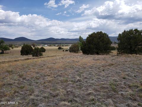 95 E Mail Trail Rd, Young, AZ 85554 photo 20