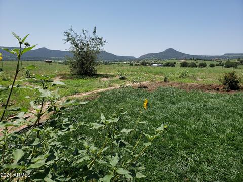 95 E Mail Trail Rd, Young, AZ 85554 photo 8