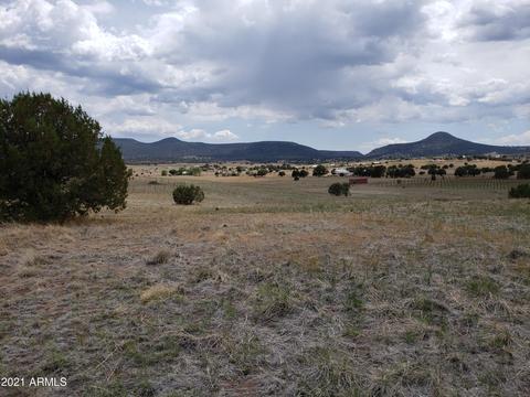 95 E Mail Trail Rd, Young, AZ 85554 photo 21