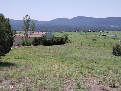 95 E Mail Trail Rd, Young, AZ 85554 photo 3