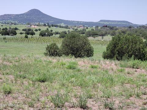 95 E Mail Trail Rd, Young, AZ 85554 photo 29