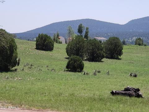 95 E Mail Trail Rd, Young, AZ 85554 photo 32