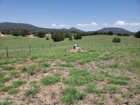 95 E Mail Trail Rd, Young, AZ 85554 photo 31
