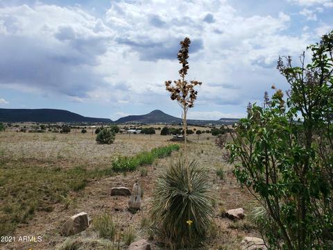 95 E Mail Trail Rd, Young, AZ 85554 photo 25