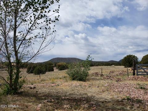 95 E Mail Trail Rd, Young, AZ 85554 photo 28