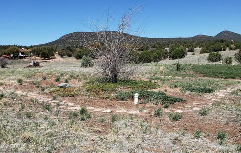 95 E Mail Trail Rd, Young, AZ 85554 photo 24
