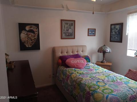 9252 El Paso St, Mesa, AZ 85207 photo 17
