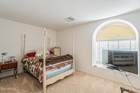 9918 E Arrowvale Dr, Sun Lakes, AZ 85248 photo 16