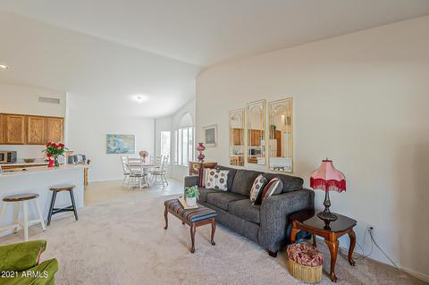9918 E Arrowvale Dr, Sun Lakes, AZ 85248 photo 44