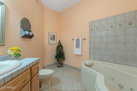 257 S Happy Trail Rd, Apache Junction, AZ 85119 photo 38
