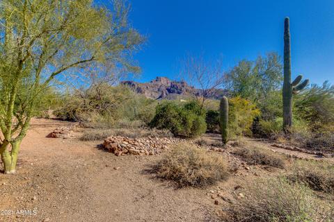 5357 E Cactus Wren St, Apache Junction, AZ 85119 photo 42
