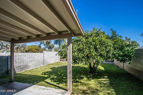 443 S 33rd Pl, Mesa, AZ 85204 photo 19