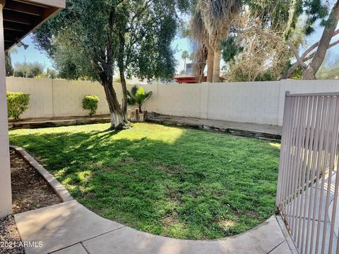 217 E Voltaire Ave, Phoenix, AZ 85022 photo 10