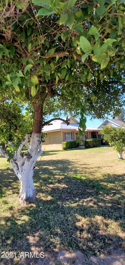 1833 E Brown Rd, Mesa, AZ 85203 photo 5