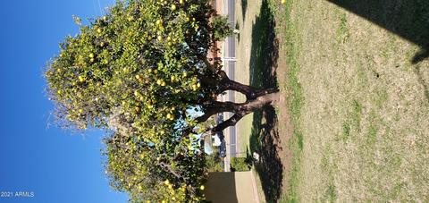 1833 E Brown Rd, Mesa, AZ 85203 photo 24