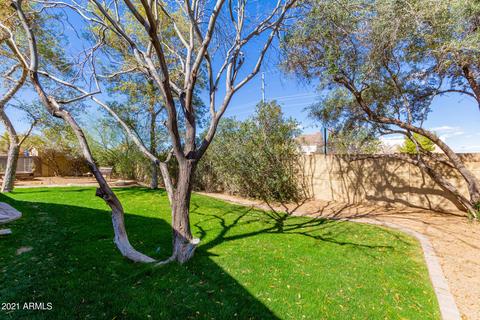 2916 E Cannon Dr, Phoenix, AZ 85028 photo 23