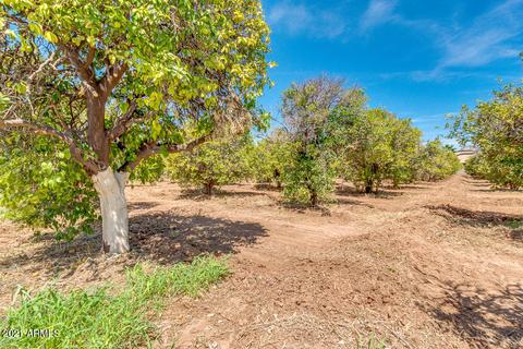 3702 E Mclellan Rd #'''_''', Mesa, AZ 85205 photo 7