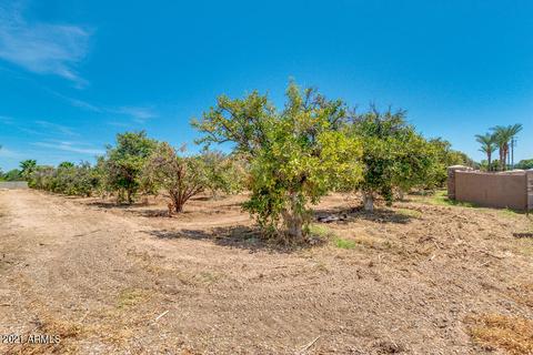 3702 E Mclellan Rd #'''_''', Mesa, AZ 85205 photo 9
