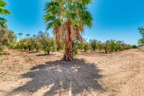 3702 E Mclellan Rd #'''_''', Mesa, AZ 85205 photo 12