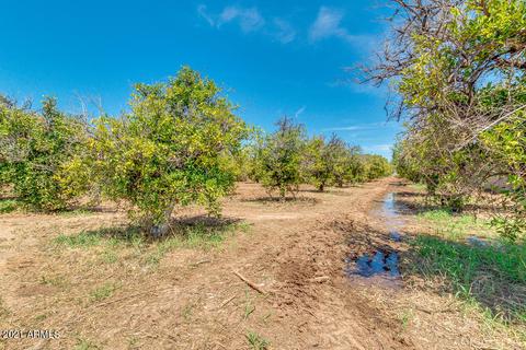 3702 E Mclellan Rd #'''_''', Mesa, AZ 85205 photo 8