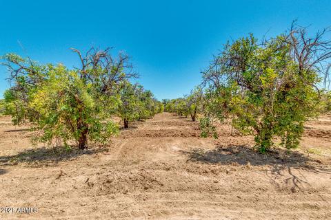 3702 E Mclellan Rd #'''_''', Mesa, AZ 85205 photo 10