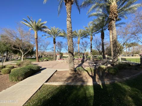 3532 E Windsor Dr, Gilbert, AZ 85296 photo 68