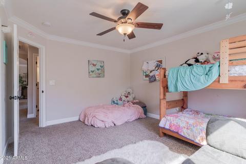 3732 E Marmora St, Phoenix, AZ 85032 photo 23