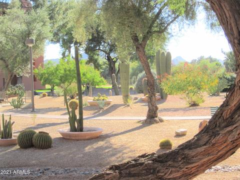4303 E Cactus Rd #306, Phoenix, AZ 85032 photo 36